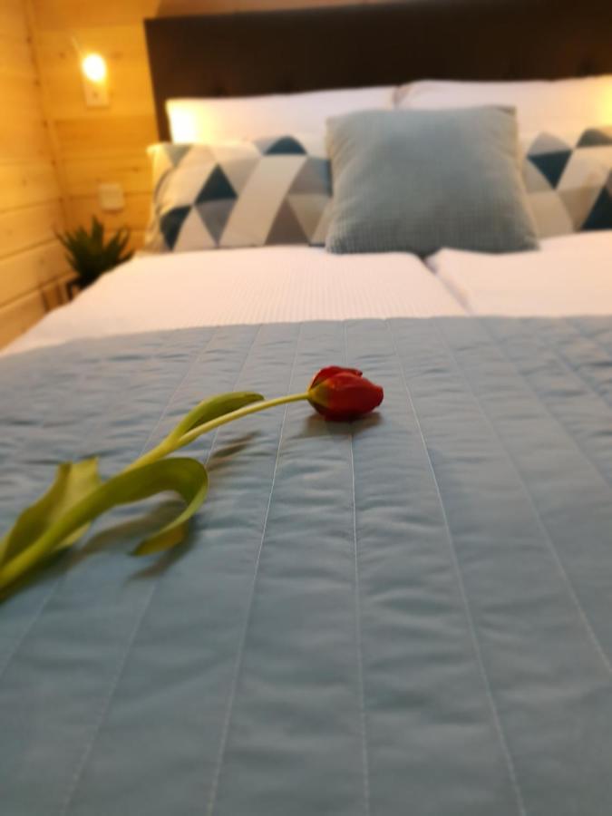 Ekosfera Pilawa Apartment บอร์น ซูลิโนโว ภายนอก รูปภาพ