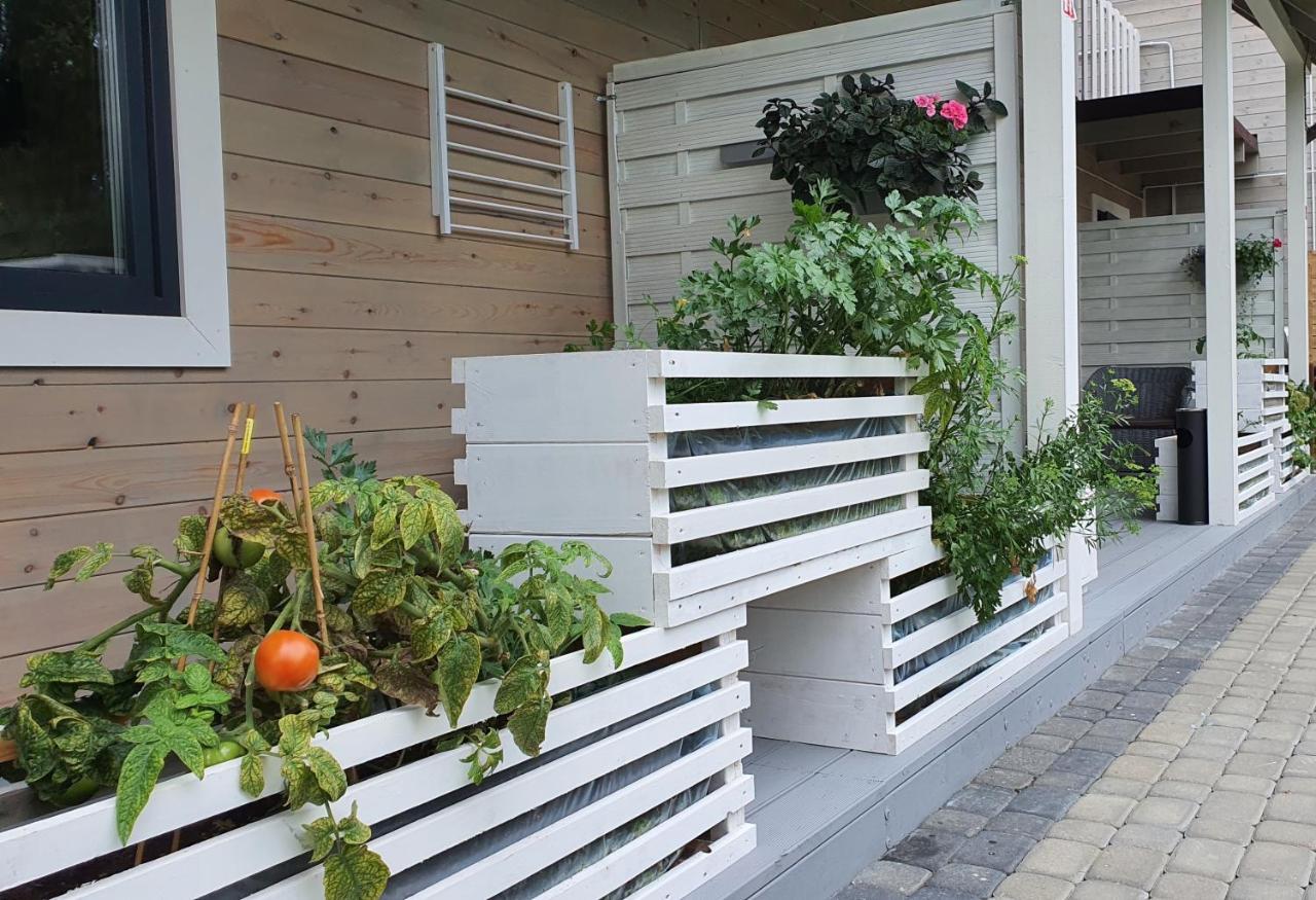 Ekosfera Pilawa Apartment บอร์น ซูลิโนโว ภายนอก รูปภาพ